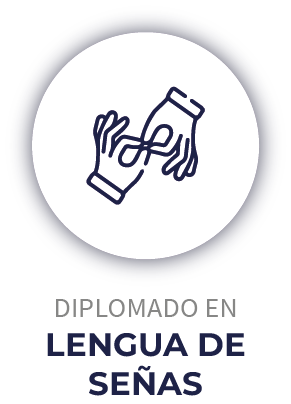 WEB 2024-33